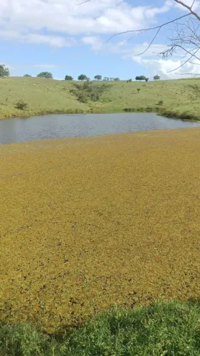 Fazenda em Passira, toda pronta