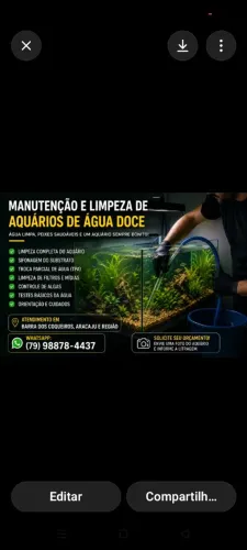 Manutenção de Aquário 