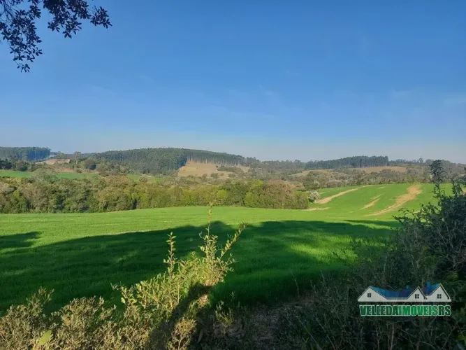 Velleda oferece magnífica fazenda de 58 hectares para soja, Sentinela do Sul, confira!