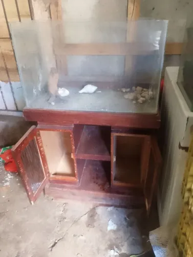 Aquário pra peixe