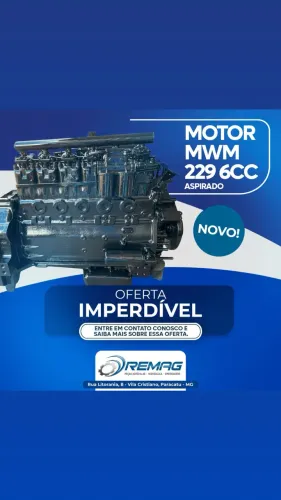 Motor mwm 229 aspirado