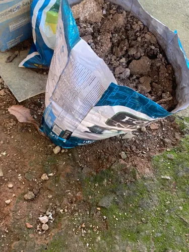 Esterco de galinha puro