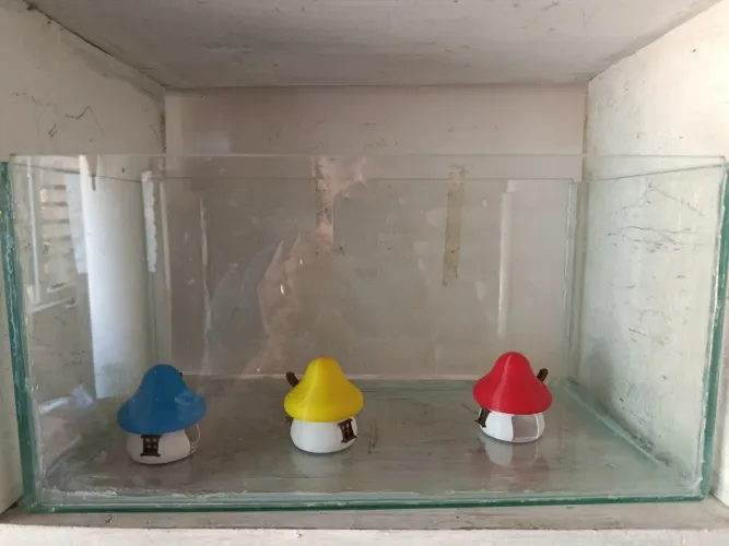 Aquário Vila Smurf