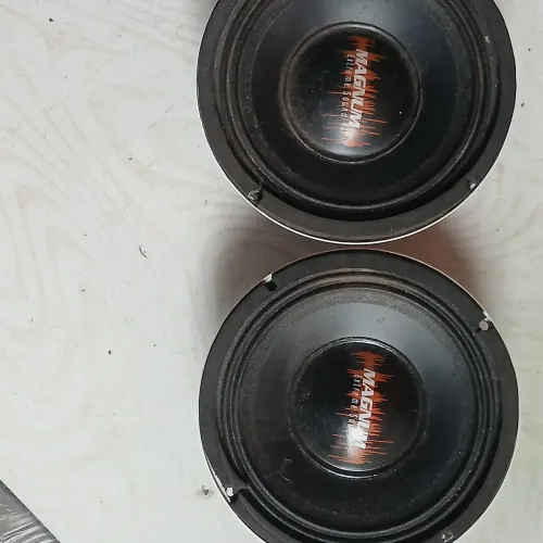 Vendo 2 médio grave de 8pol