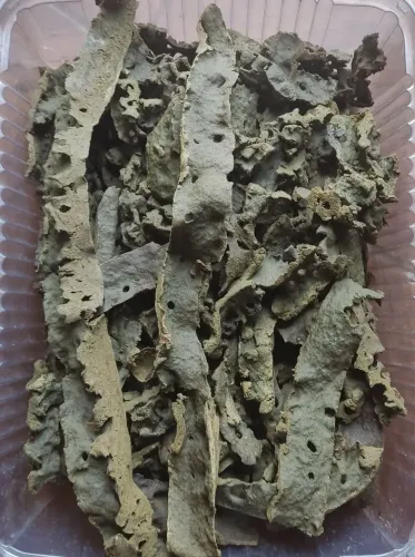 Própolis Verde Bruta 