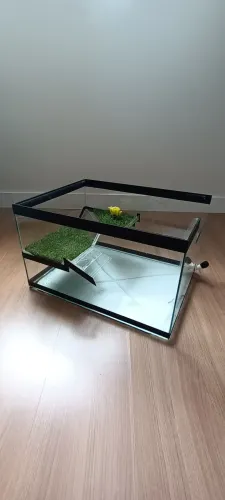 Aquaterrário 