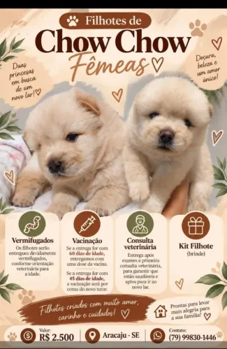 Animais