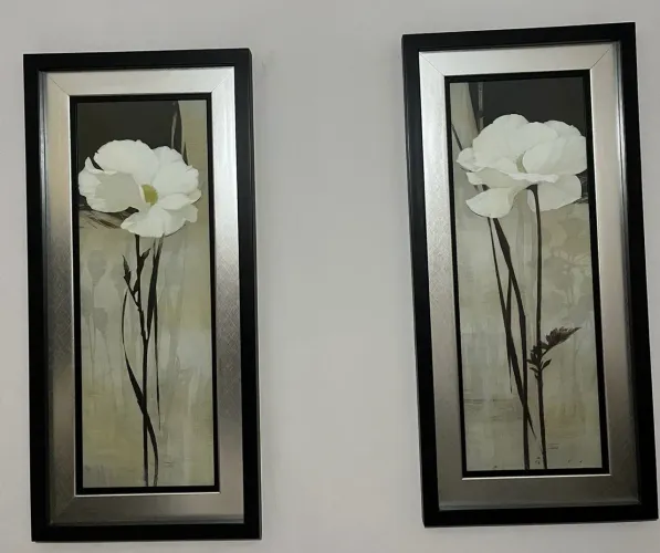 Conjunto de Quadros de Luxo