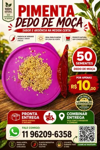 Semente de Pimenta Dedo de Moça