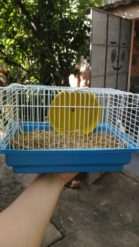 Gaiola pata transporte