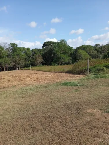 Lote no Terra Nova Bosque 20x100