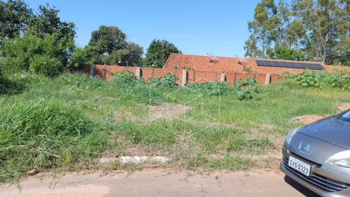 Terreno à venda, 170 m² por R$ 82.000,00 - Jardim Paulista - Dois Córregos/SP