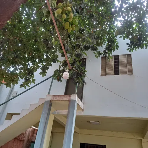 Kitnet leia o anúncio nao tem garagem