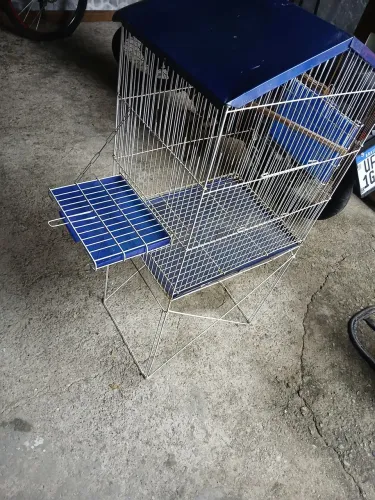 VENDO VIVEIRO PARA CALOPSITA