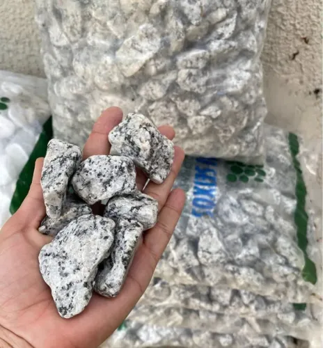 Pedra Carijó/Cordorna