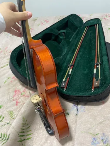 Violino