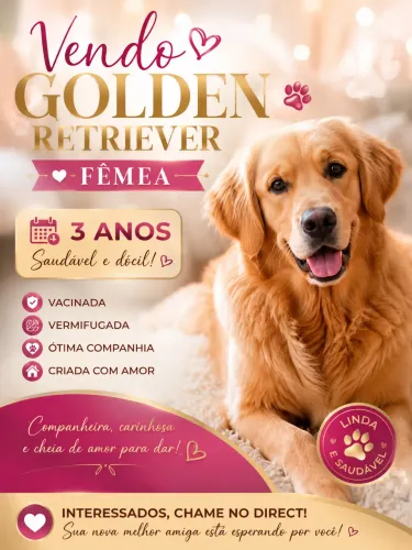 Goldem adulta