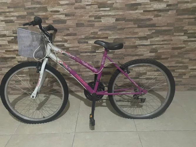 Bicicleta com cestinha - aro 24