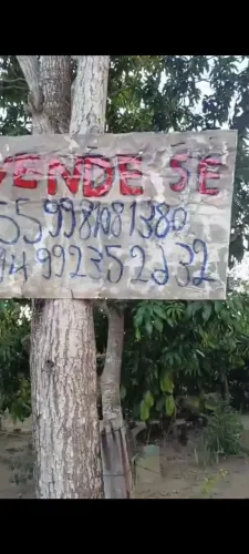 Vendo 2 chácara.