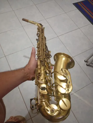 Sax alto shelter aceito cartão