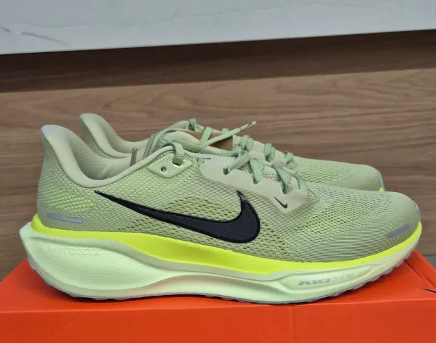 Nike pegasus 41