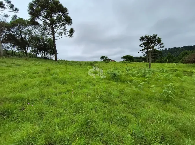 Chácara com 3 hectares no Juá em São Francisco de Paula.
