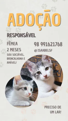 Adoção responsável 