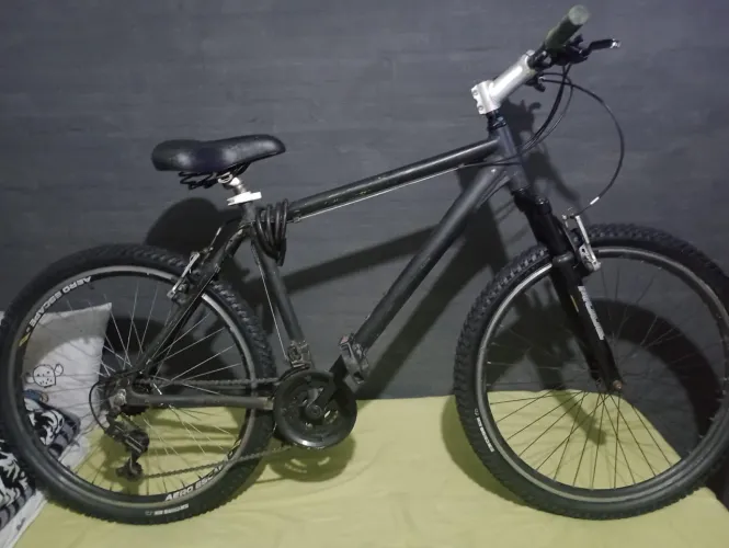 Bicicleta 20