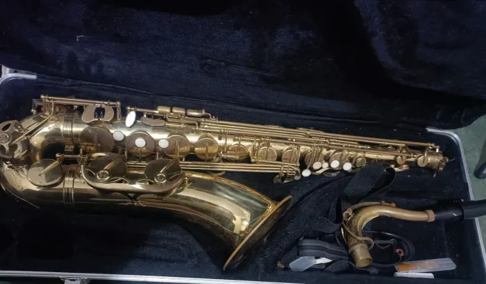 Sax Tenor Shelter 