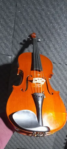 Viola Roma