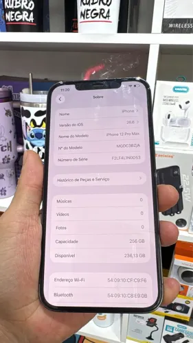 iPhone 12 Pro Max 256 GB