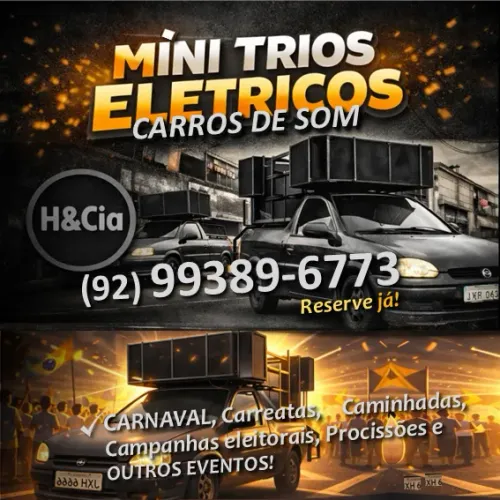 Míni trio elétrico | Carro som