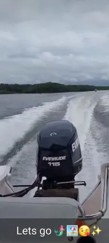 Motor Evinrude E-Tec 115