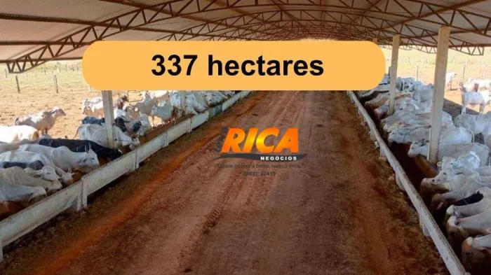 Oportunidade Única! Fazenda com 337 ha, Confinamento , solo 100% corrigido com Calcario