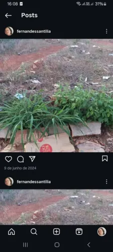 Lote no jardim hanashirou