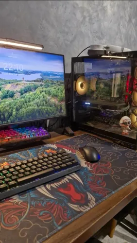 Pc gamer