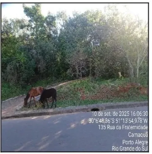 Terreno de leilão em CAMAQUA / PORTO ALEGRE / RS | Venda Online