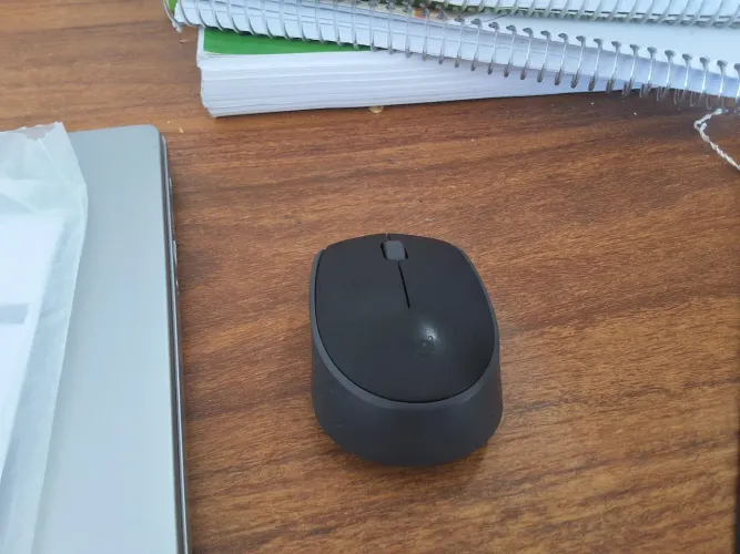 Mouse Logitech M170