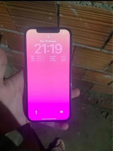 12 pro 256 gb