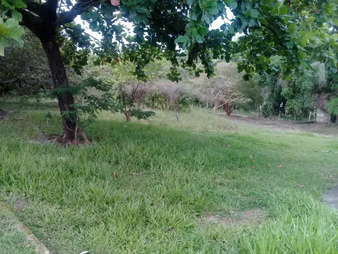 Sitio Terreno 7000m2 em Itaboraí bairro Quissamã