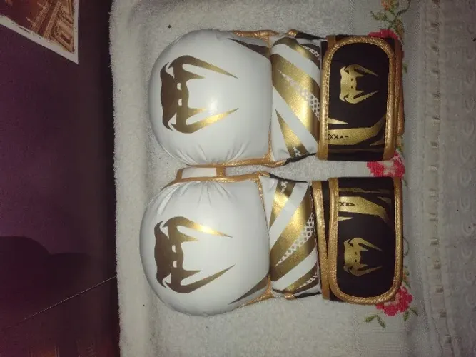 Luvas de MMA Venum 3.0+Protetor Bucal