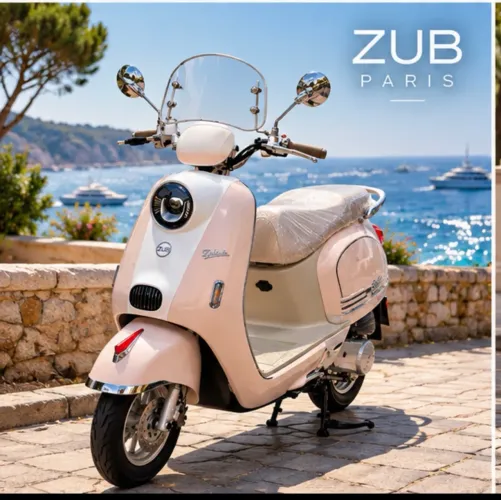 Moto elétrica zub Paris