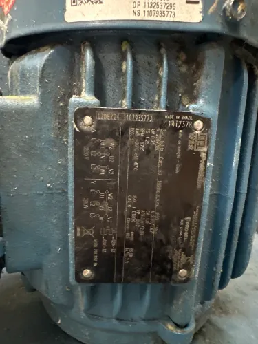 Motor WEG