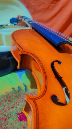 ? violino 
