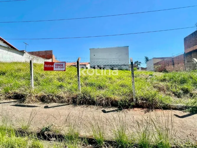 Terreno 250m² à venda no Bairro Cidade Jardim (Sul) Próx. E.M. Cidade da Música