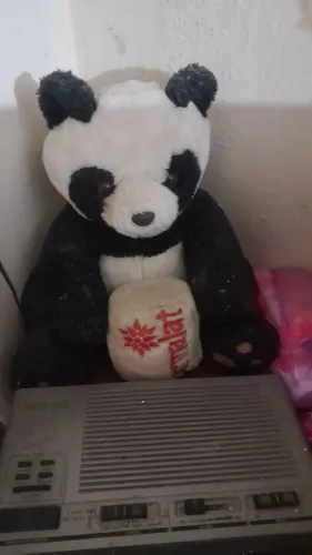 Urso parmalat(Reliquia)