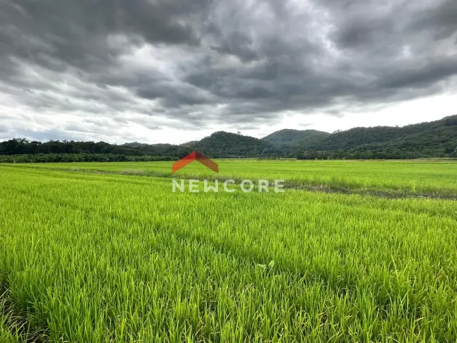 Fazenda em Rodovia Sc-108 - Vila Nova - Joinville/SC