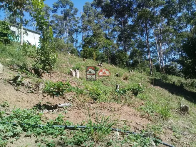 Venda de Chácara em Monteiro Lobato/SP