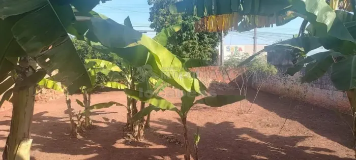 Bady Bassitt - Terreno Venda