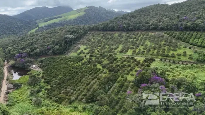 Sítio em Sumidouro - Nova Friburgo